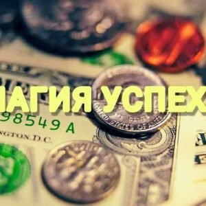 Магия успеха (Екатерина Анисимова)